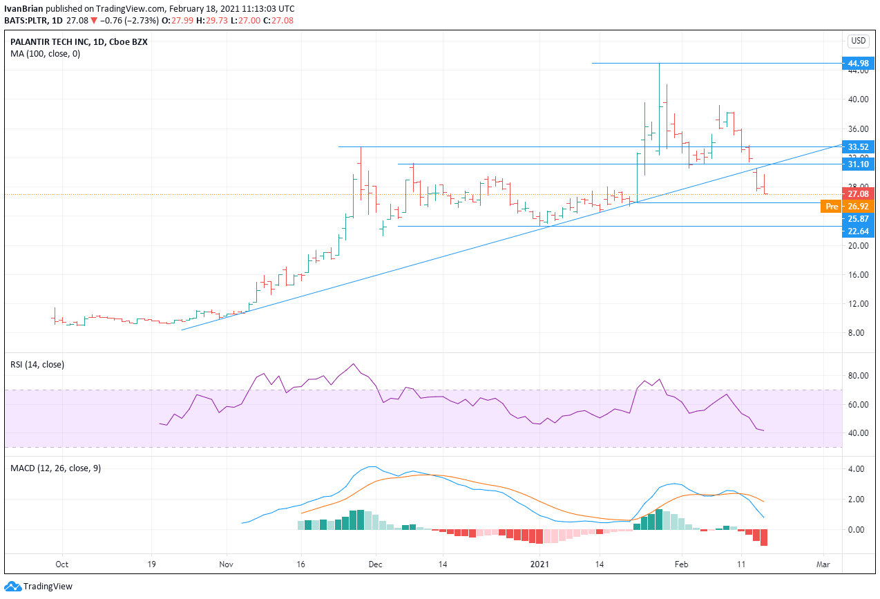 Palantir Technologies (PLTR) Stock Price and News Forecast growth to